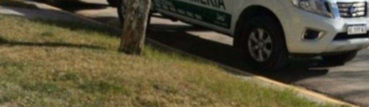 camioneta gendarmeria