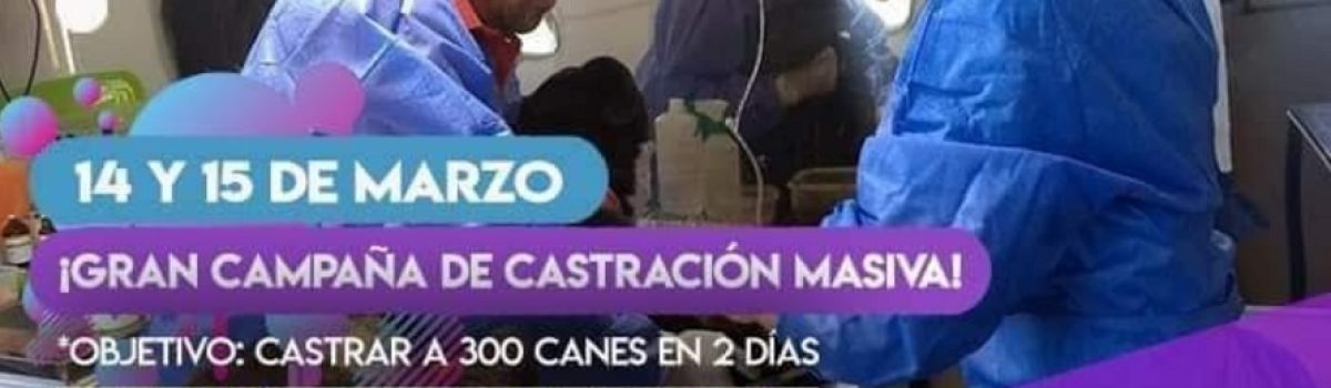 campaña 14 15 mar castracion 2021