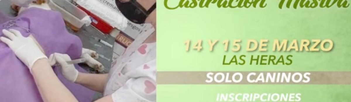 campaña castarcion marzo 2021