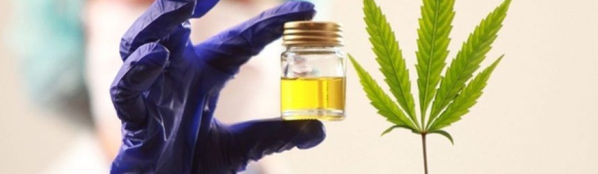 canabbis y aceite