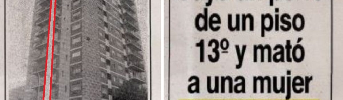 caniche cae