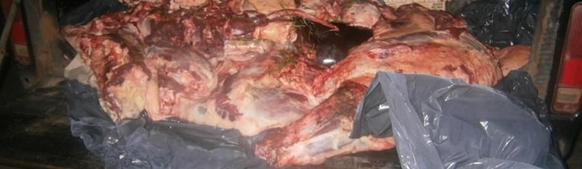 carne clandestina