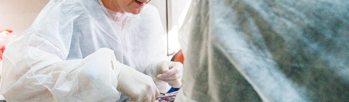 castracion zoonosis