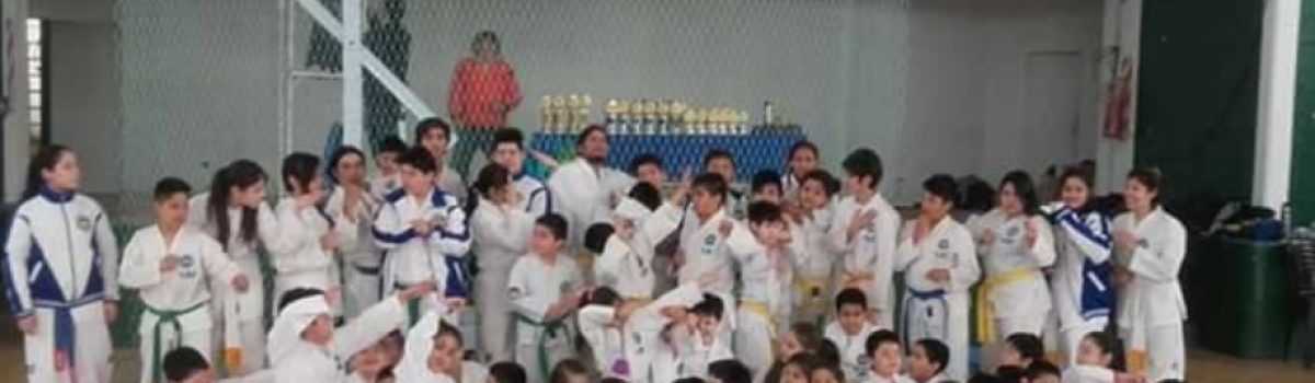 chicos karate Vera