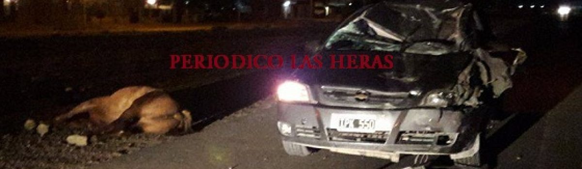choco caballo astra 11
