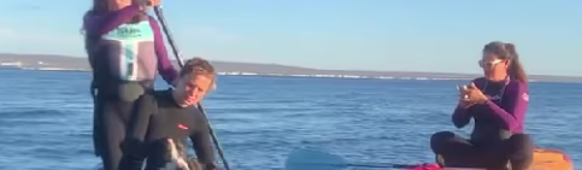 chubut mujeres rescatan perro del mar