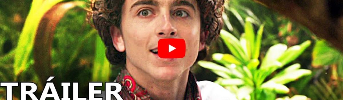 cine wonka