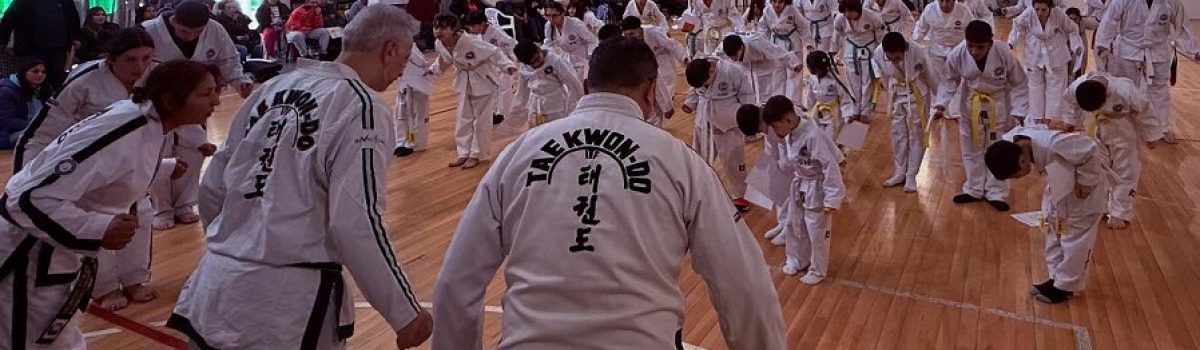 clase taekuondo globito 025