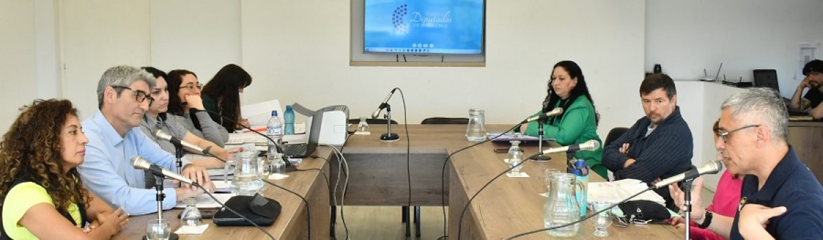 comisión de Legislación General