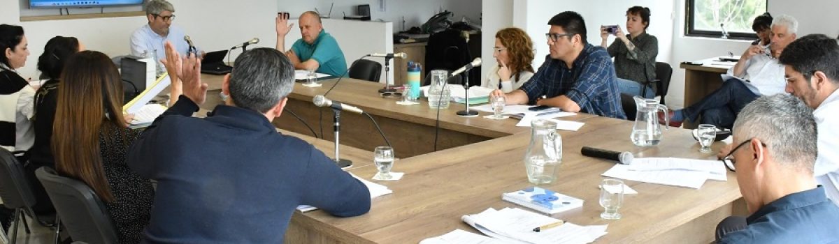 comision diputados jara