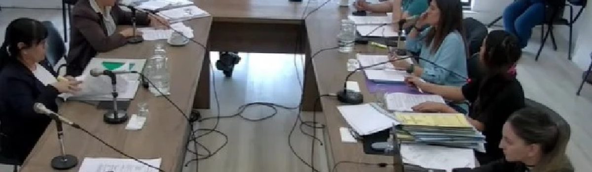 comision diputados jara