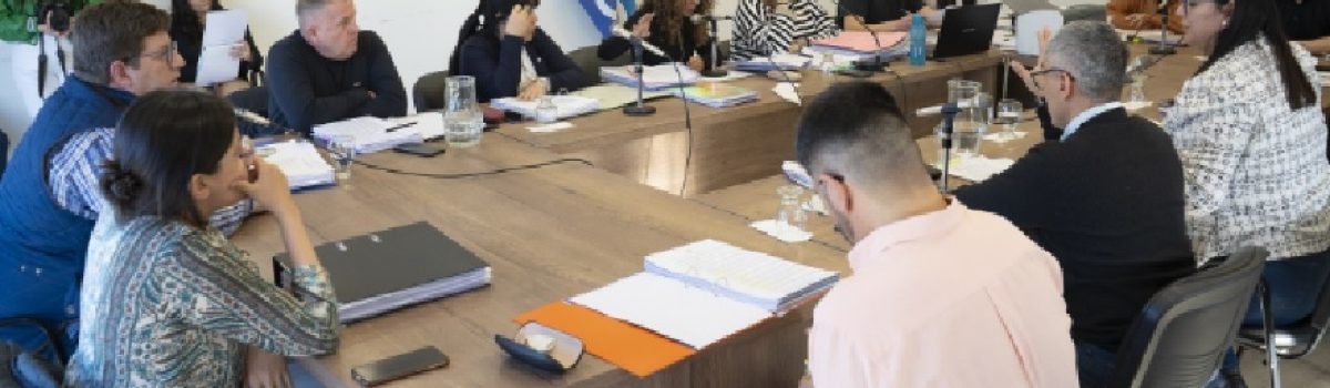 comision diputados