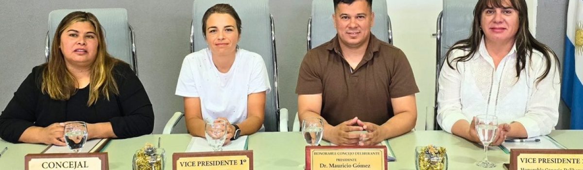 concejale fines de 2025