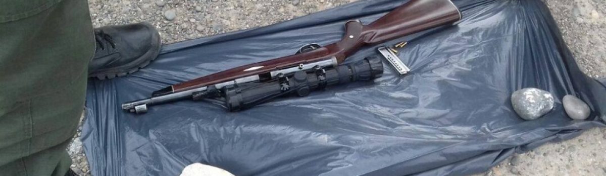 control ruta geor gendarme arma