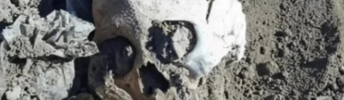 craneo humano zona rural