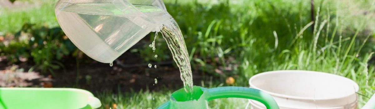 cuidar reutilizar agua