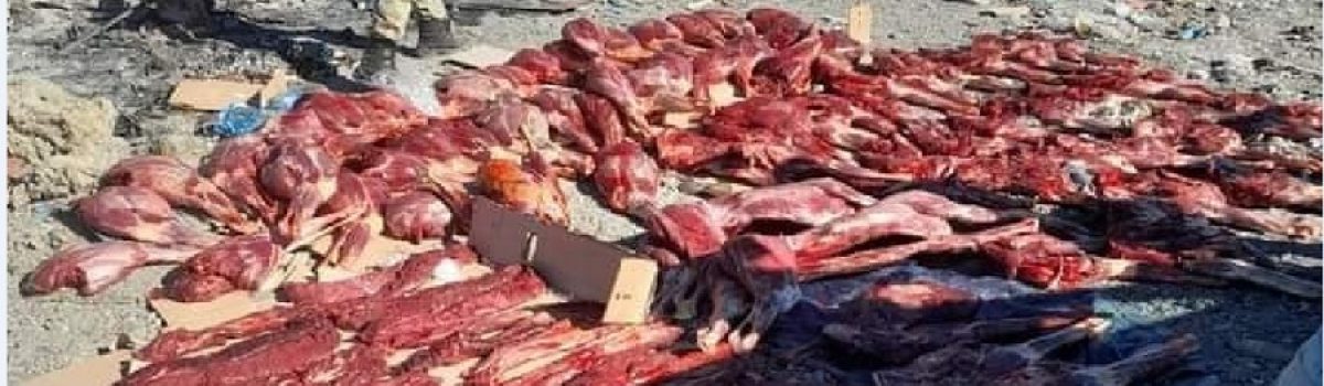 decomiso de carne piso