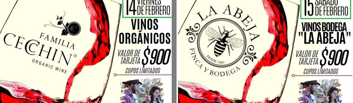 degustacion vino 14 15 febre2020