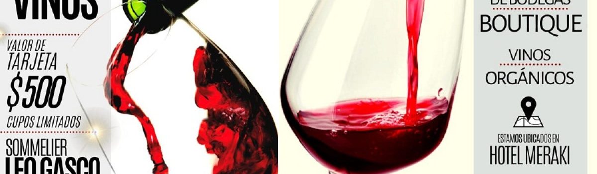 degustacion vino meraki 2019