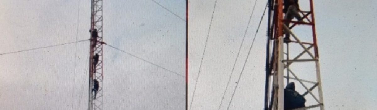 desocupados antena LH