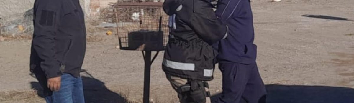 detenidos allanamiento simultaneo agost2024