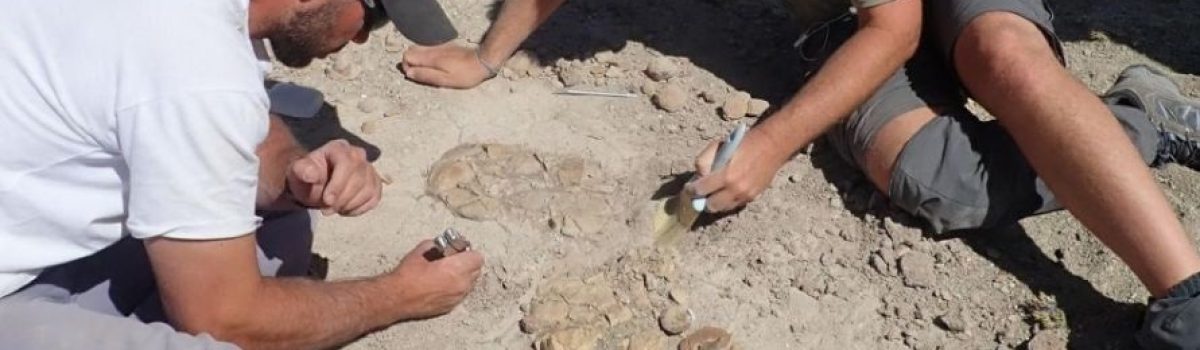dinosaurios en santa cruz investigadores