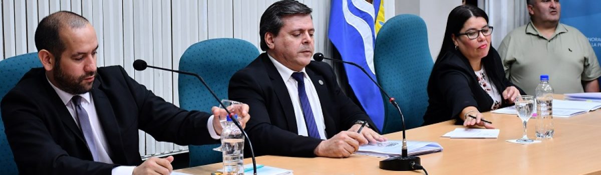 dipu vice gobre legizamon