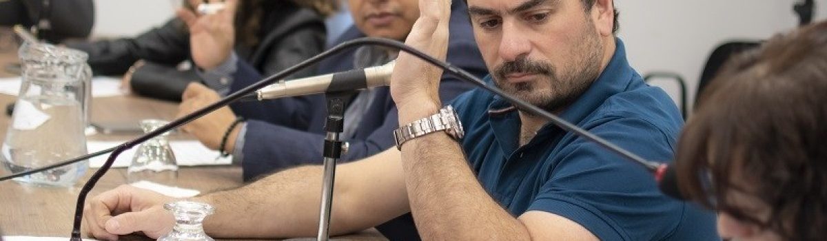 dipu votando comision