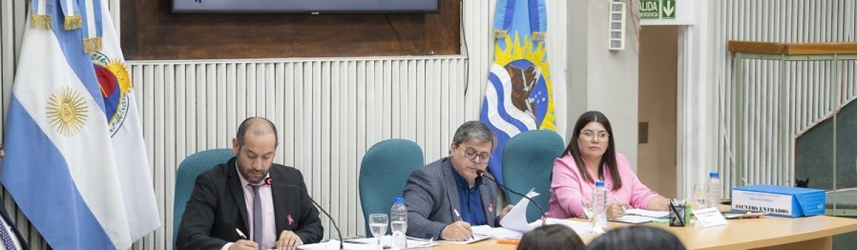 diputados camara 2025 legizamon