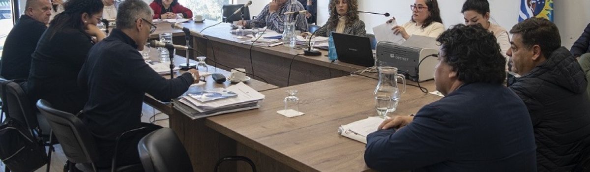 diputados comision