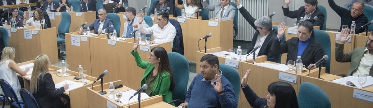 diputados emergencia petrolera