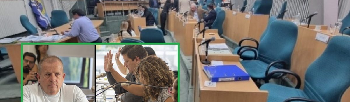 diputados jara y otros