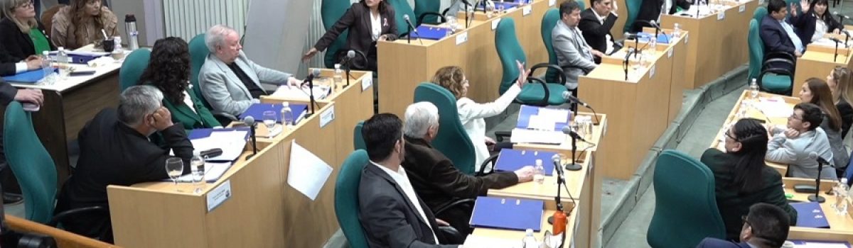 diputados santa cruz 2024