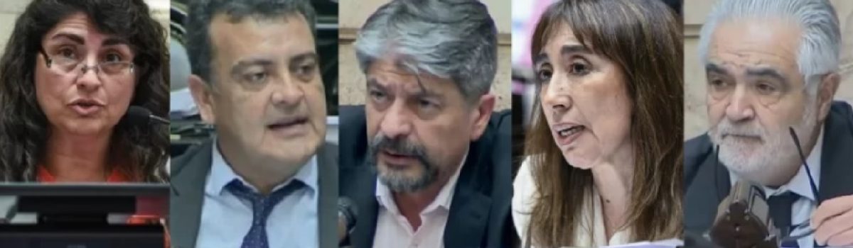 diputados santa cruz 2025