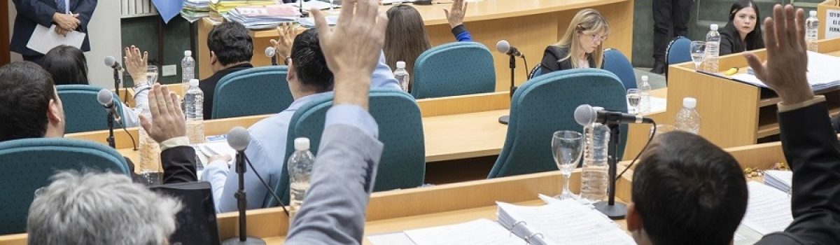 diputados sesion jara 2025