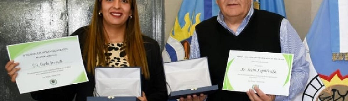 distinciones HCD ciudadanos 2022