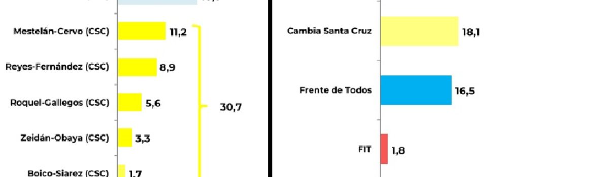 encuesta Vidal 2021