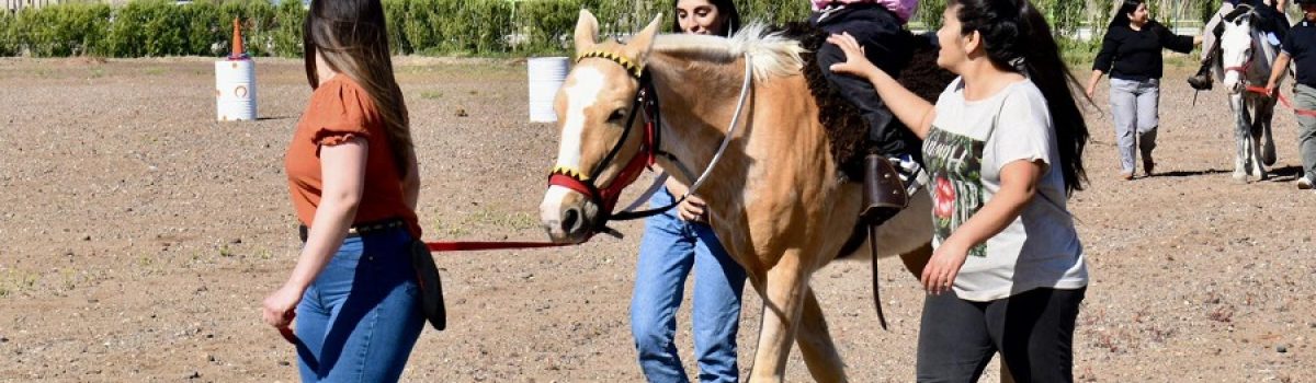 equinoterapia en LH