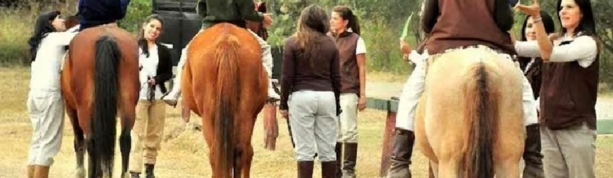 equinoterapia