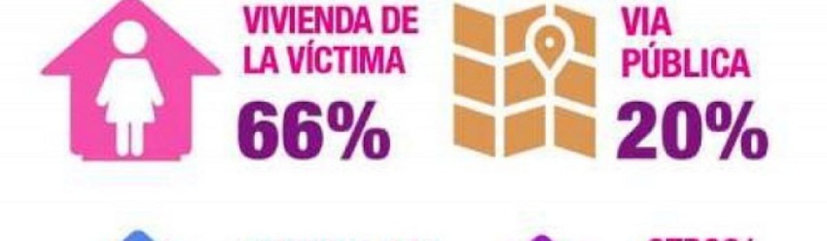 femicidio estadistica 2020 1