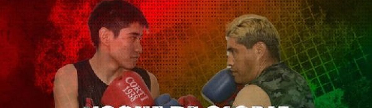 festival boxeo muni 2023