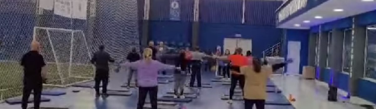 gimnasia en el poli David