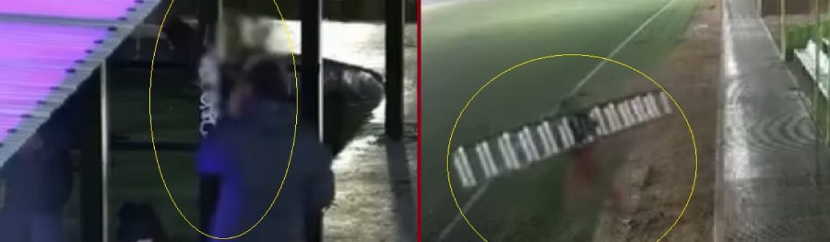grafiti y roban escalera municipal