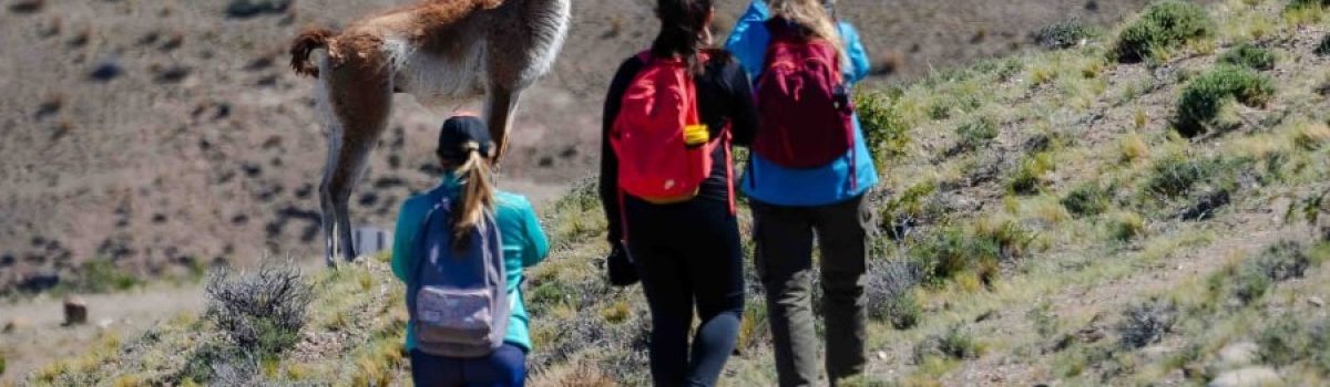 guanaco gente Rio pinturas ph gustavo Calfin