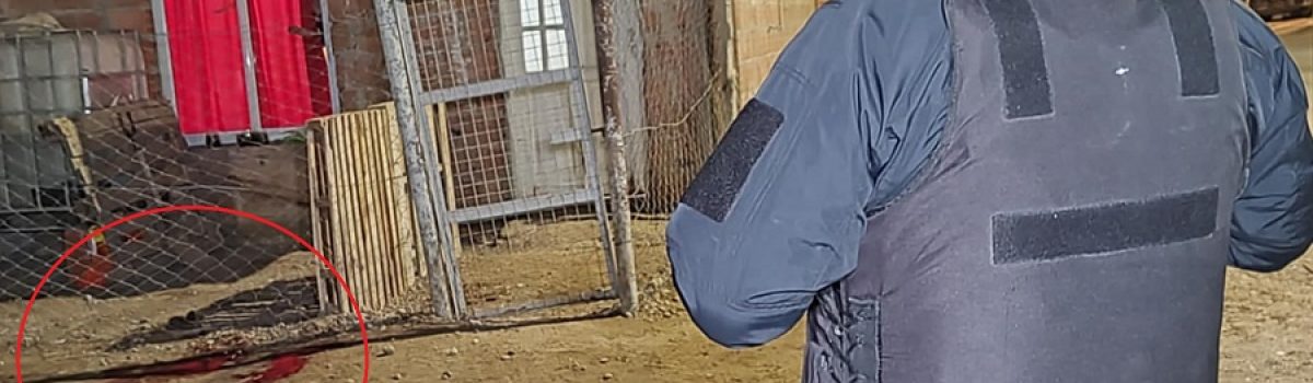 homicidio apuñalado x gitano