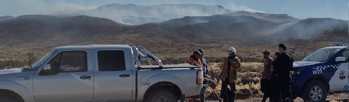 incendio capo estancia silva 024