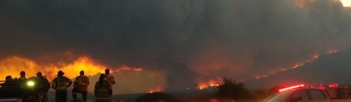 incendio los alerces a esquel 024