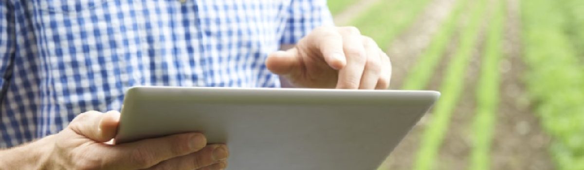 Close Up Of Farmer Using Digital Tablet On Organic Farm