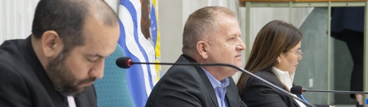 jara diputados otros