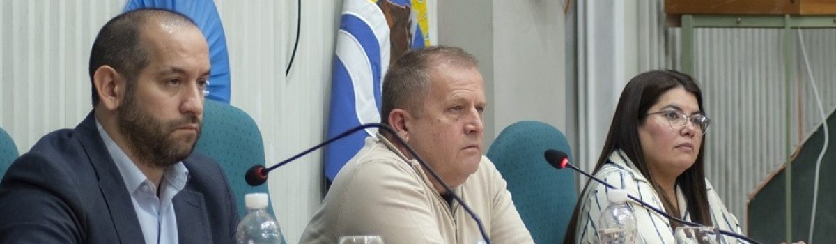 jara diputados